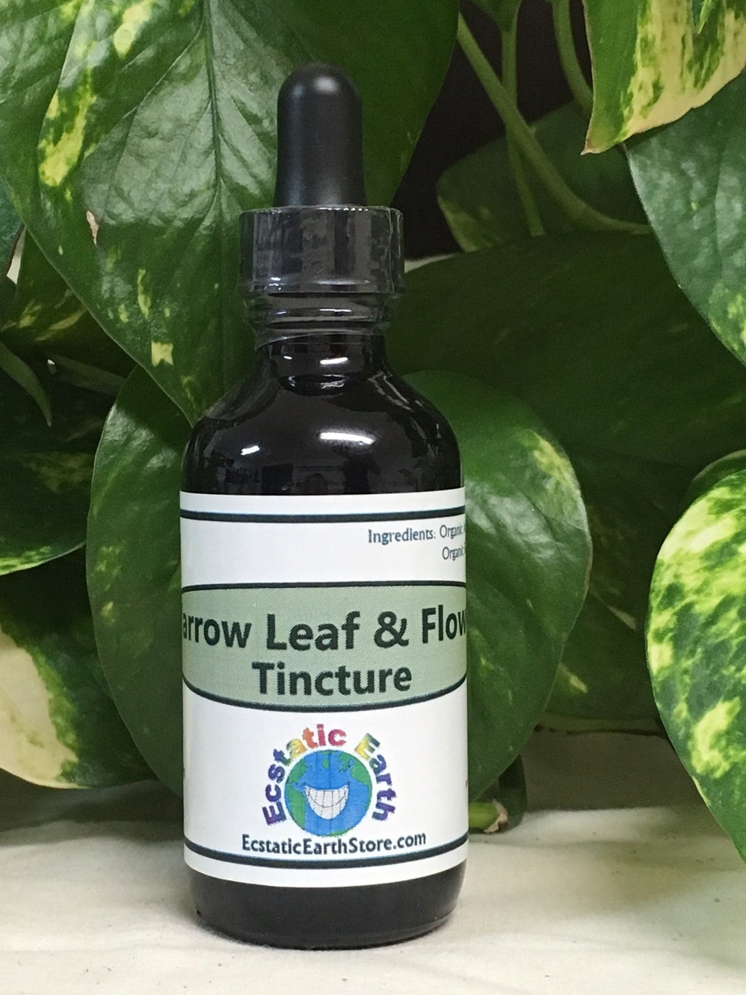 Yarrow Leaf & Flower Tincture / Extract Achillea millefolium Etsy Italia