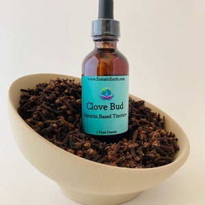 Clove Bud Tincture - Alcohol Free Syzygium aromaticum extract - Handmade Herbal Remedy by Ecstatic Earth