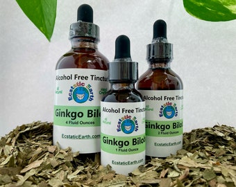 Ginkgo Biloba Tincture  - Alcohol Free Herbal Extract - Handmade by Ecstatic Earth