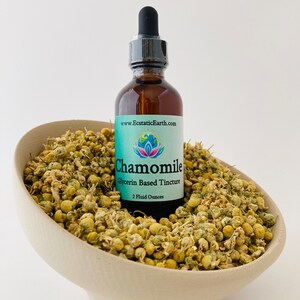 Chamomile Tincture - Alcohol Free Matricaria recutita extract - Handmade Herbal Remedy by Ecstatic Earth