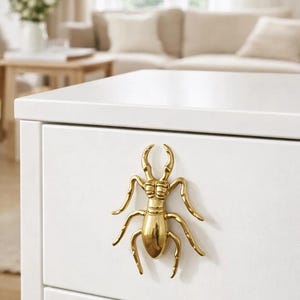 Puede incluir: Un tirador de armario de metal dorado con forma de escarabajo está montado en un cajón de armario blanco. El escarabajo tiene patas, antenas y un cuerpo segmentado detallados. El armario está en una habitación luminosa y bien iluminada.