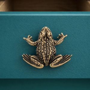 Op de afbeelding: Een bronzen kikker-vormige ladeknop met uitgestrekte armen, gemonteerd op een teal blauwe lade voorkant. De kikker heeft gedetailleerde textuur en een vintage uitstraling, wat een grillige touch aan meubels toevoegt.