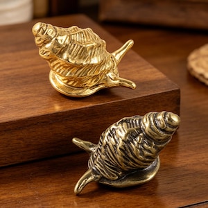Könnte beinhalten: Zwei Muschelfiguren aus Messing. Die Muscheln sind detailliert mit Rippen und Kurven versehen und haben einen goldenen Farbton. Die Figuren liegen auf einer dunklen Holzoberfläche, eine über der anderen. Dies sind dekorative Objekte.