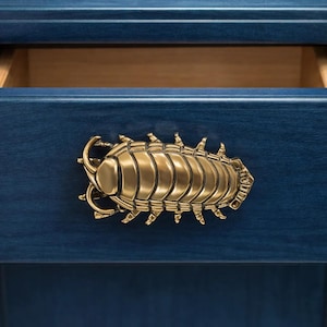Tirador de latón con forma de escarabajo gigante hecho a mano: tirador único para armarios, decoración cálida y natural para el hogar, regalo de inauguración.