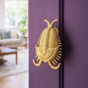 May include: A gold-coloured, trilobite-shaped door knocker fixed to a purple door. The knocker has a detailed, textured design with curved features. The door is painted a solid, deep purple colour.