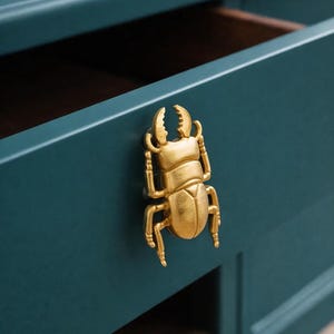 Handgemaakte messing kever deurkruk | Insectenkasttrekker | Unieke op de natuur geïnspireerde hardware