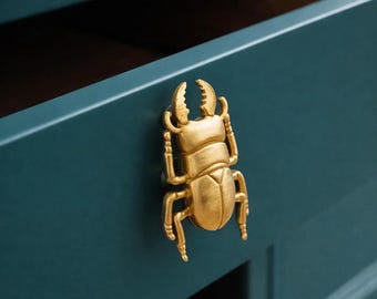 Handmade Brass Beetle Door Handle | Insect Cabinet Pull | Unique Nature-Inspired Hardware