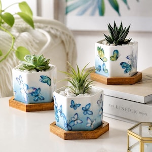 May include: Three hexagonal white ceramic planters featuring blue and yellow butterfly illustrations. Each planter sits on a hexagonal wooden base and contains a small green succulent or air plant nestled in white decorative stones.