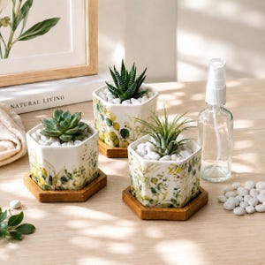 May include: Three hexagonal white ceramic planters with green and yellow botanical patterns, each resting on a wooden base. The planters are filled with white pebbles and small green succulents or air plants, accompanied by a clear glass spray bottle.
