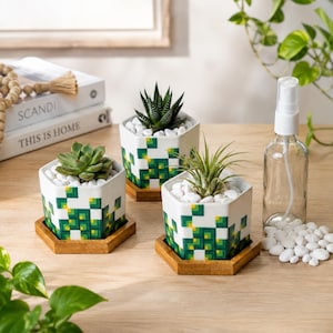 May include: Three white hexagonal ceramic planters with a green and yellow pixelated geometric pattern. Each planter sits on a bamboo tray and contains a small succulent or air plant nestled in white decorative stones, with a clear spray bottle.