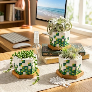 May include: Three white ceramic planters with green and yellow pixelated designs, each holding a different plant. The planters sit on wooden saucers. One planter has a trailing plant with small green beads. The other two have air plants.