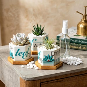 May include: Three hexagonal white ceramic planters with bamboo bases, each containing a small succulent or air plant. The planters feature teal and black text reading "be leafing" and "Don't", along with teal floral graphics and white pebbles.