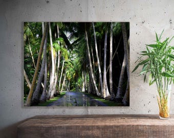Island Road - Art Print