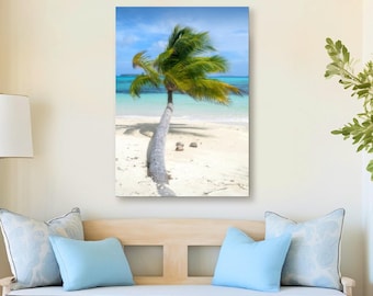 Palm Tree Relaxing on Beach - Art Print