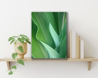 Green Leaves Art Print - Canvas or Metal