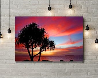 Pandanus  Silhouette - Art Print