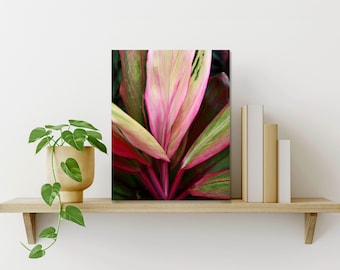 Tropical Ti Plant - Art Print