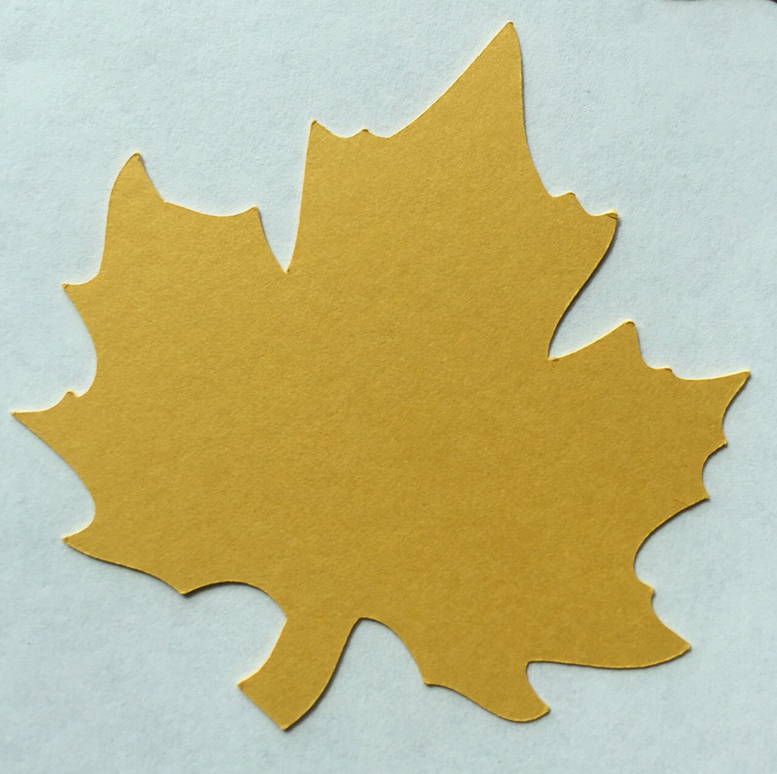 25 die cut paper leaves paper fall wedding leaves die cut Etsy