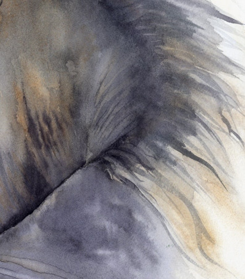 horse painting Looks Twice giclee print of original watercolor painting image 2