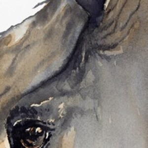 horse painting Looks Twice giclee print of original watercolor painting image 3