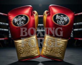 Red & Gold Boxing Gloves – Premium Leather Fight Gloves – Luxury Training  Sparring Gear – Pro Style Boxing Equipment