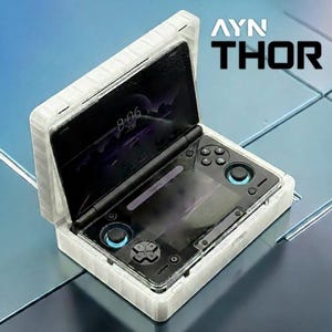 Étui de protection magnétique Ayn Thor Case pour console de jeu AYN THOR