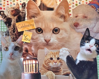 Biglietto d'auguri: Gatti, Torta, Animali da festa (10 x 15 cm, cartoncino da 250 g/m²)