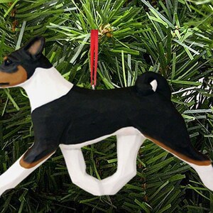 black and white basenji dog