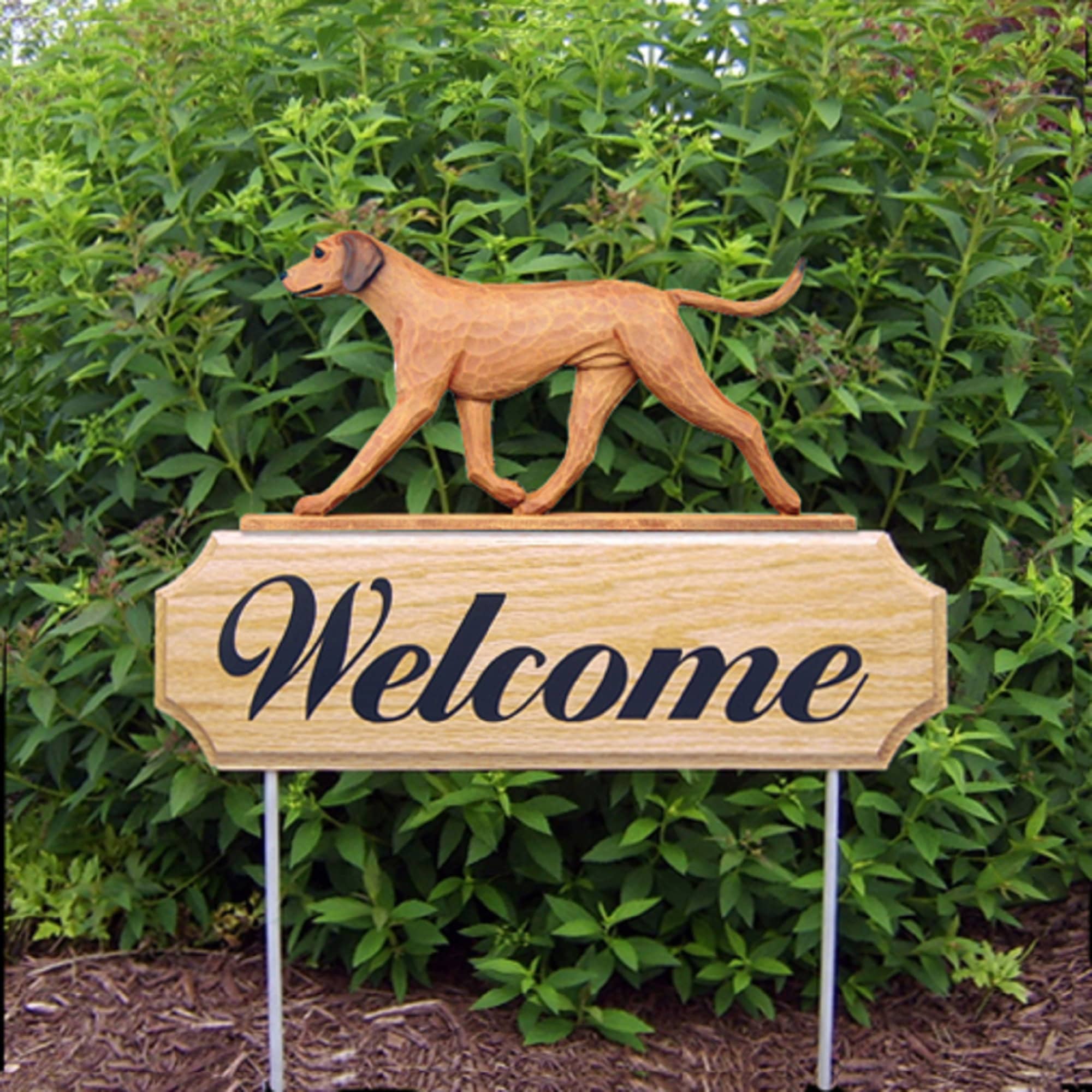 Rhodesian Ridgeback Dog Custom Text Welcome Indoor Outdoor Wood Sign - Etsy