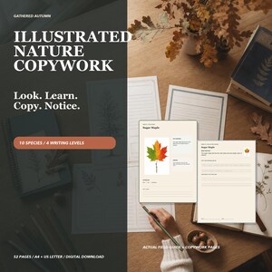 May include: Illustrated nature copywork educational set featuring 52 pages with 10 species and 4 writing levels. Includes text: GATHERED AUTUMN, ILLUSTRATED NATURE COPYWORK, Look. Learn. Copy. Notice., 10 SPECIES / 4 WRITING LEVELS, 52 PAGES / A4 + US LETTER / DIGITAL DOWNLOAD.