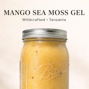 May include: A jar of Mango Sea Moss Gel with a silver lid. The jar is labeled "Ball" and "WIDE MOUTH". The text "MANGO SEA MOSS GEL" and "Wildcrafted • Tanzania" are at the top. Available in 16oz and 32oz sizes.