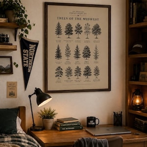 Trees of the Midwest Rolled Poster | Botanical Field Guide Wall Art