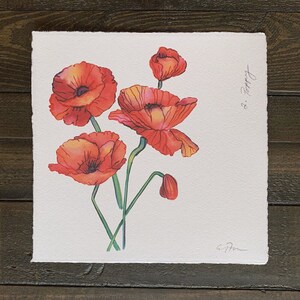 FLOWERGRAM 2: Poppy - 7x7”