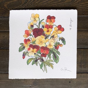 FLOWERGRAMM 4: Stiefmütterchen - 18x18cm