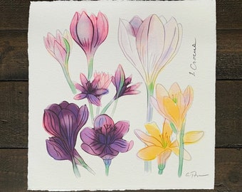 FLOWERGRAM 1: Crocus - 7x7”