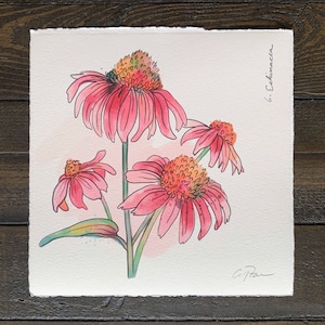 FLOWERGRAM 6: Echinacea - 7x7”