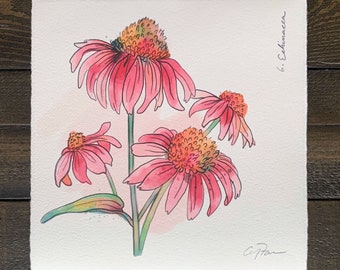 FLOWERGRAM 6: Echinacea - 7x7”