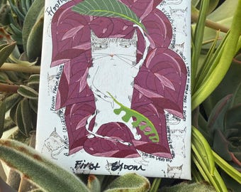 Froonz Frenz Pack; First Bloom