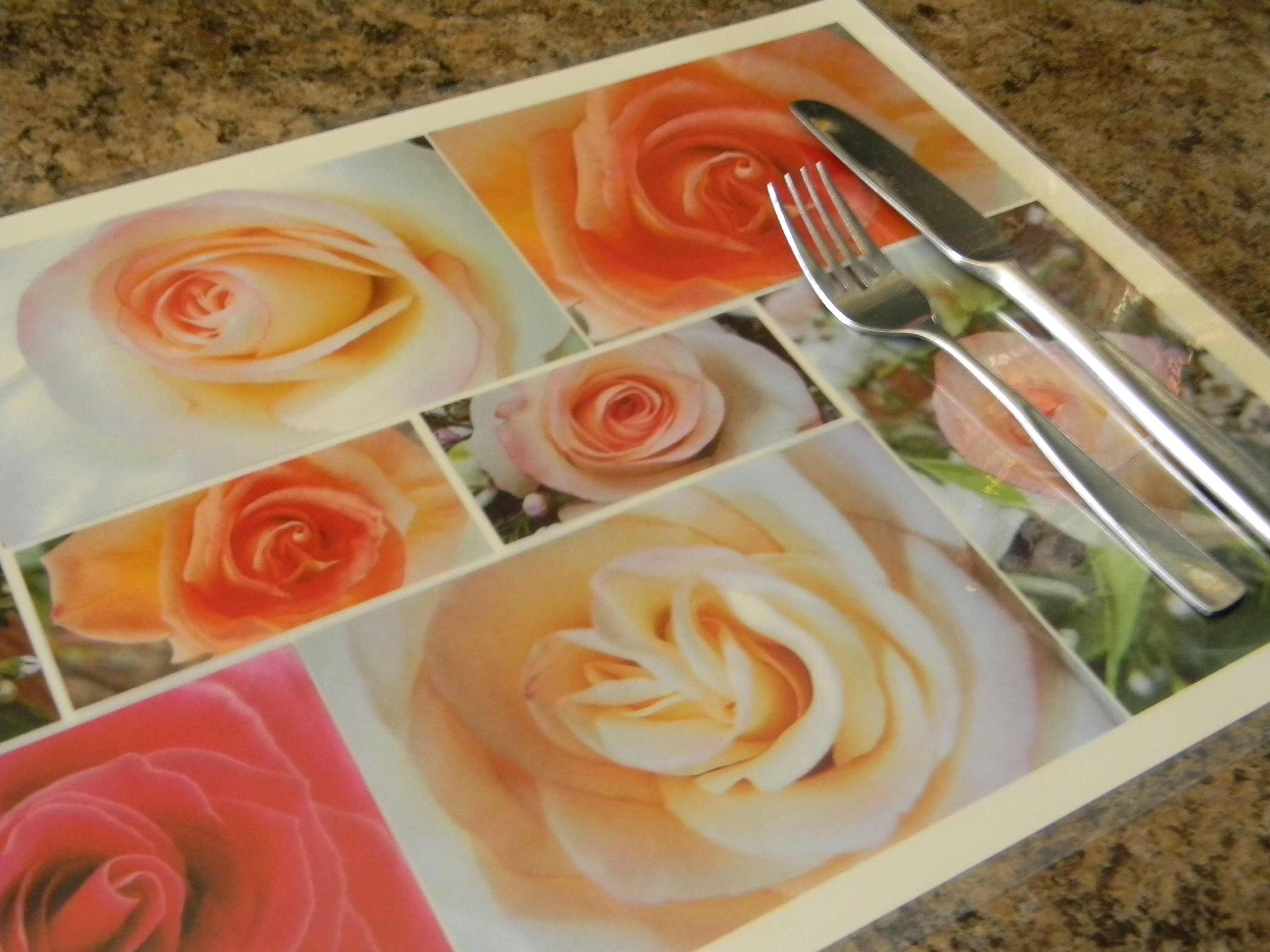 Rose Placemat Laminate Placemats Flower Dining placemat Etsy.de