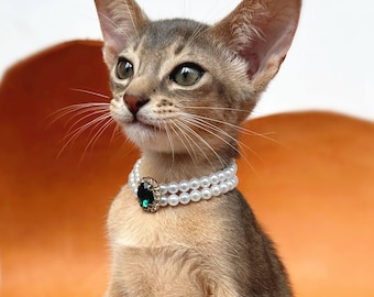 Faux Pearl Cat Collar, Emerald Rhinestone Heart Charm, Regal Pet Necklace