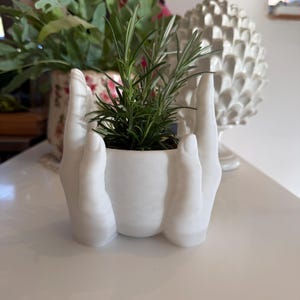 Hand Planter Pot, Sculptural Two Hands Holding Bowl, Modern Succulent Cache Pot