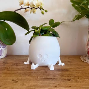 May include: A white, egg-shaped planter with a smiling face and small legs, holding a green plant. The planter sits on a wooden surface, with a blurred background of other plants and a white wall.