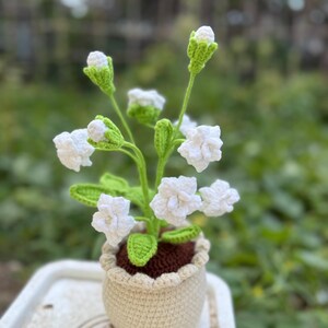 May include: A crocheted jasmine plant in a beige pot with a scalloped rim. The plant features dark brown soil, bright green stems and leaves, and several white jasmine flowers in various stages of bloom, including tight buds and open blossoms.