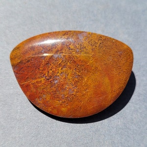 Maury mountain moss agate cabochon