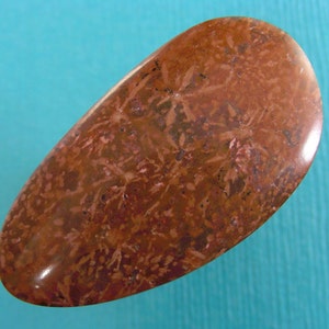 Starburst jasper cabochon
