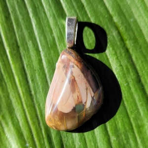 May include: A polished, teardrop-shaped pendant with a silver bail. The stone features a mix of colors, including beige, brown, and hints of green and red. The pendant is set against a green leaf.