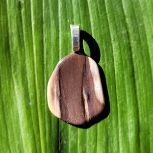 Versteinertes Holz Anhänger