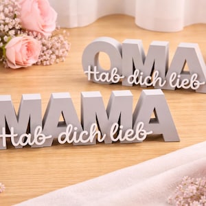 Zwei personalisierte 3D-gedruckte Geschenkschilder mit der Aufschrift „MAMA“ und „OMA“ sowie dem Schriftzug „Hab dich lieb“. Die grauen Deko-Schilder sind auf einem Holztisch mit rosa Rosen dekoriert – eine emotionale und stilvolle Geschenkidee zum Muttertag oder Geburtstag.