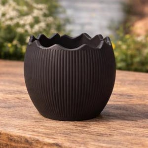 May include: A dark brown, egg-shaped ceramic planter with a textured, ribbed exterior and a wavy rim. The planter sits on a wooden surface, with a blurred background of greenery.