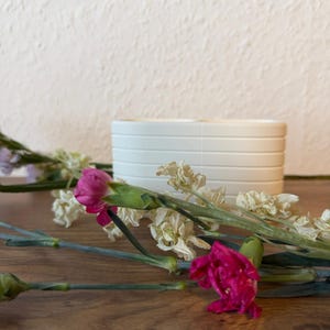 May include: A white ceramic planter with horizontal ribbed detailing, positioned behind several stems of vibrant magenta carnations and dried white flowers, showcasing a clean and structured design for plant display.